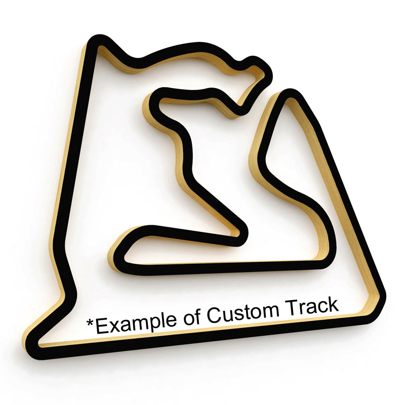 Custom 2D Track